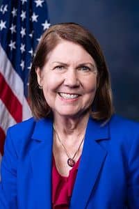 Ann Kirkpatrick
